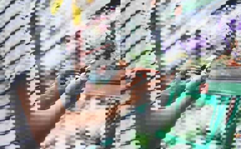 lady looking at a shopping list on her mobile phone in a grocery store lady looking at a shopping list on her mobile phone in a grocery store