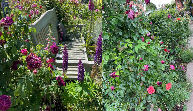 Orbit customer garden Orbit customer garden