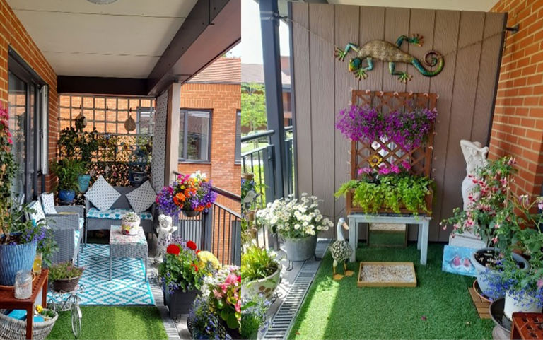 Celine's garden Celine's garden