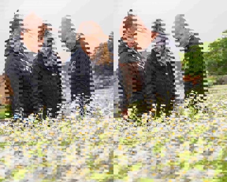 Three people standing next to the wildflowers Three people standing next to the wildflowers