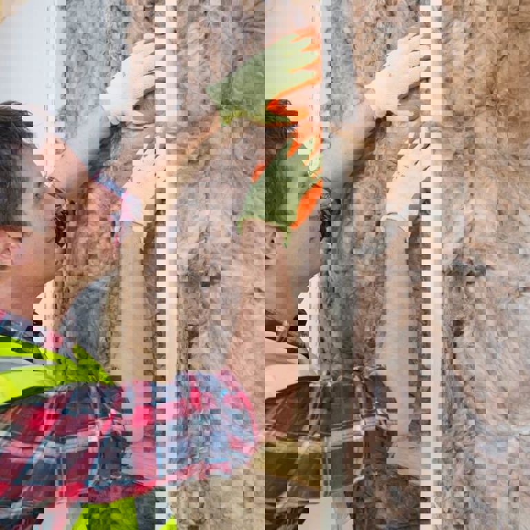 man fitting insulation wall padding on a wall man fitting insulation wall padding on a wall