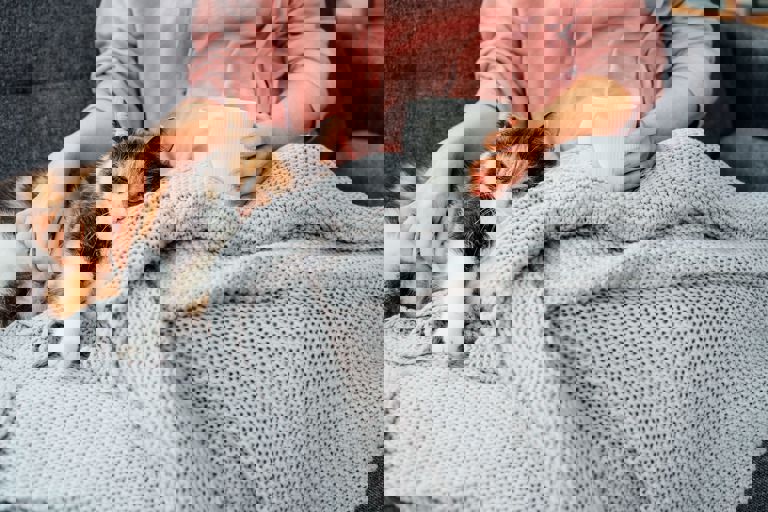 winter-wellbeing-cat