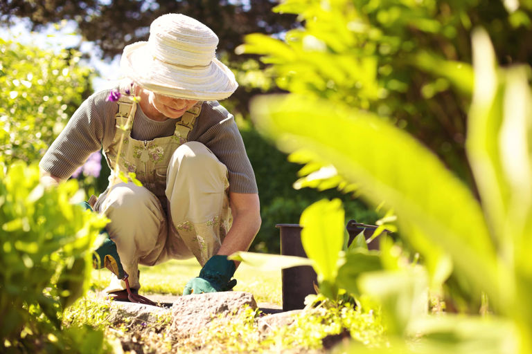 lady in garden bending over gardening lady in garden bending over gardening