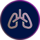 lung icon lung icon