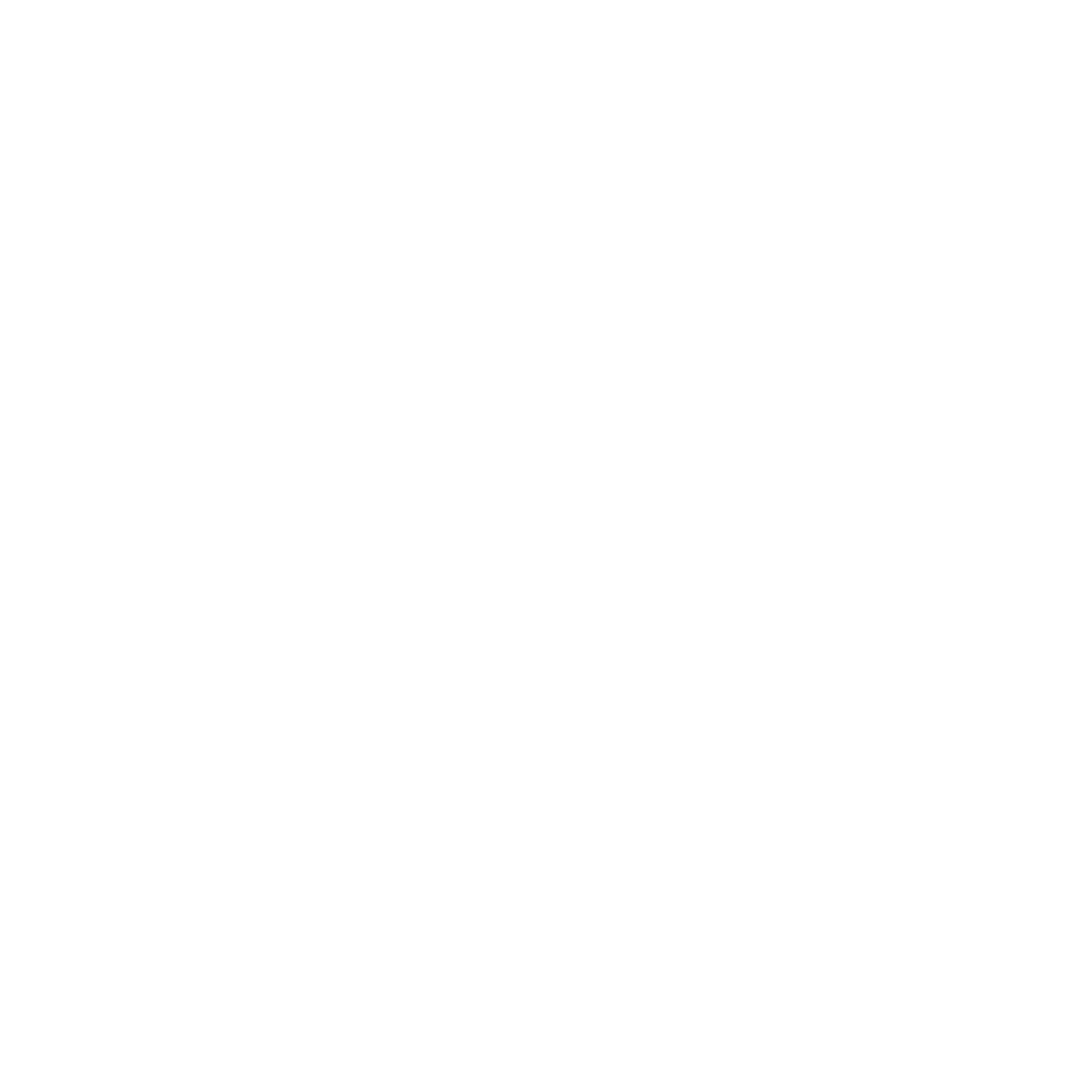 Planning your budget icon